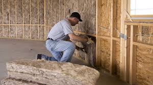 Best Wall Insulation Installation  in Los Chaves, NM